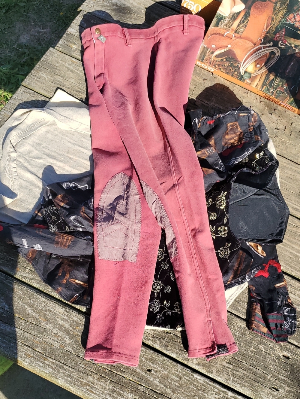 Devon Aire Breeches
